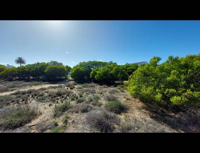 LAND FOR SALE IN SHELLEY POINT